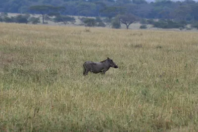 DSC_4059 (Large).JPG